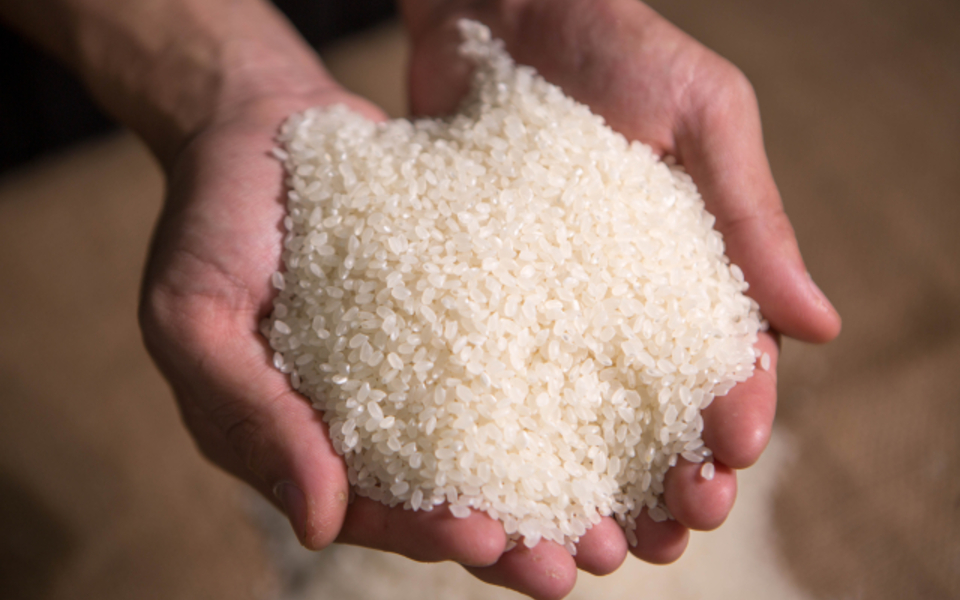 玄米を自分で精米するには？家庭での精米の方法や注意点を解説！