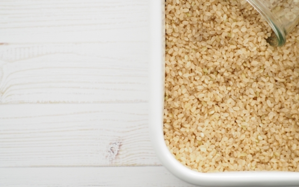 玄米の保存方法を解説！常温保存の目安・虫対策・30kgを家庭で保管するコツ