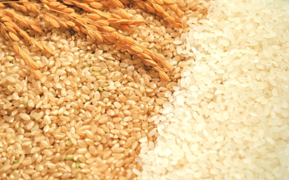 家庭用精米機は必要？メリット・デメリットと後悔しない選び方を解説