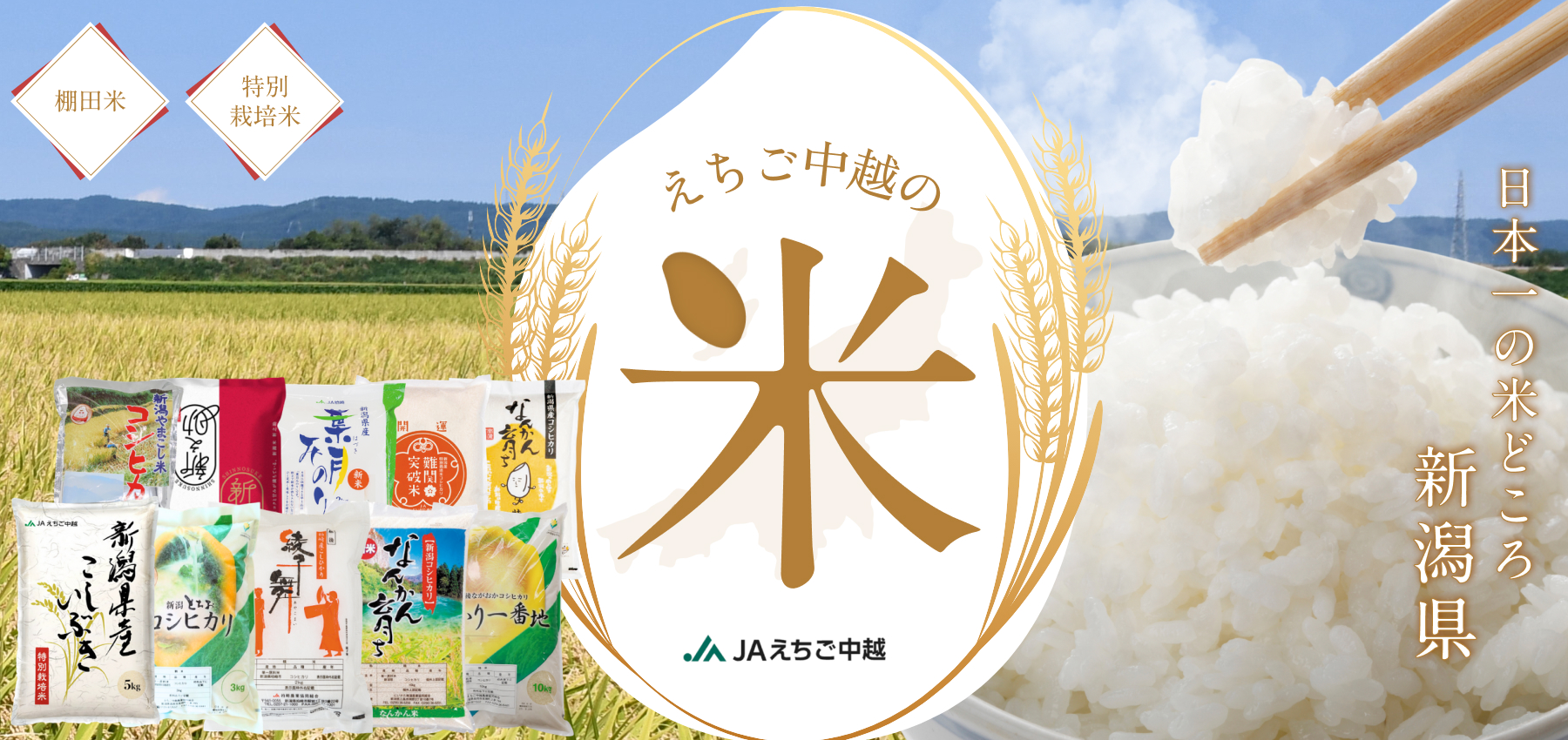 えちご中越の米