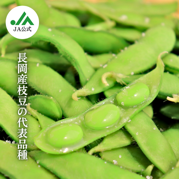 square_枝豆_長岡茶豆_長岡産__