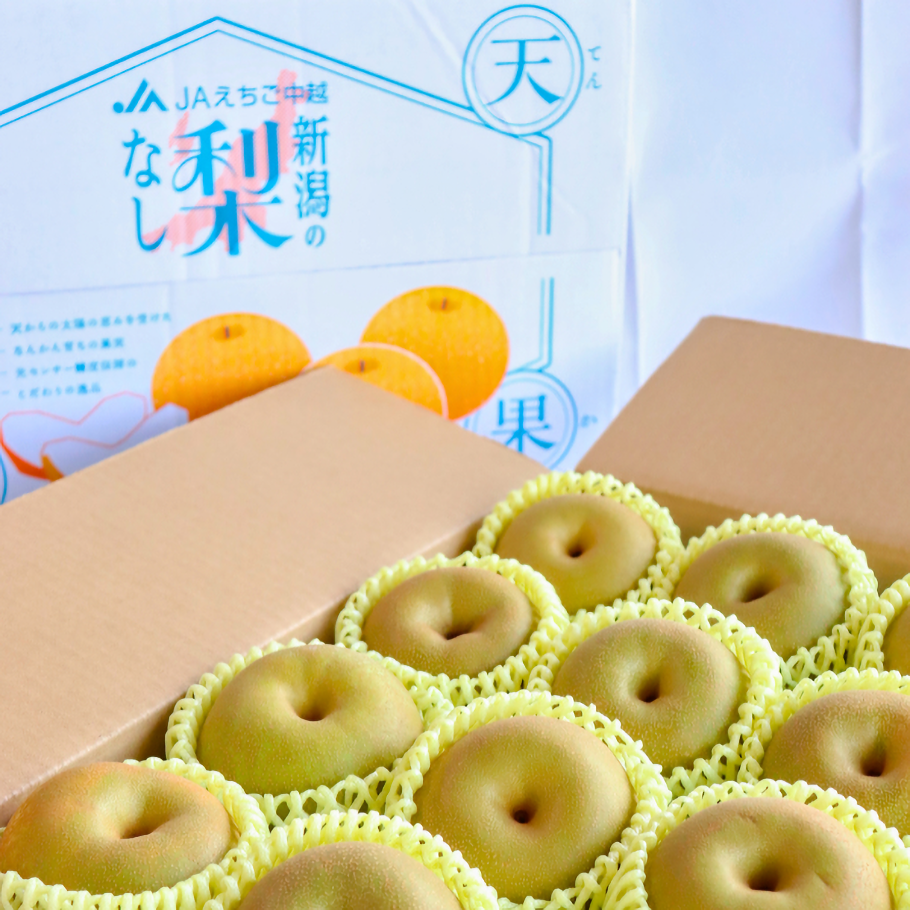 梨・新興（しんこう） 特秀品【糖鮮確実】 ☆糖度＆鮮度が確実な最上位