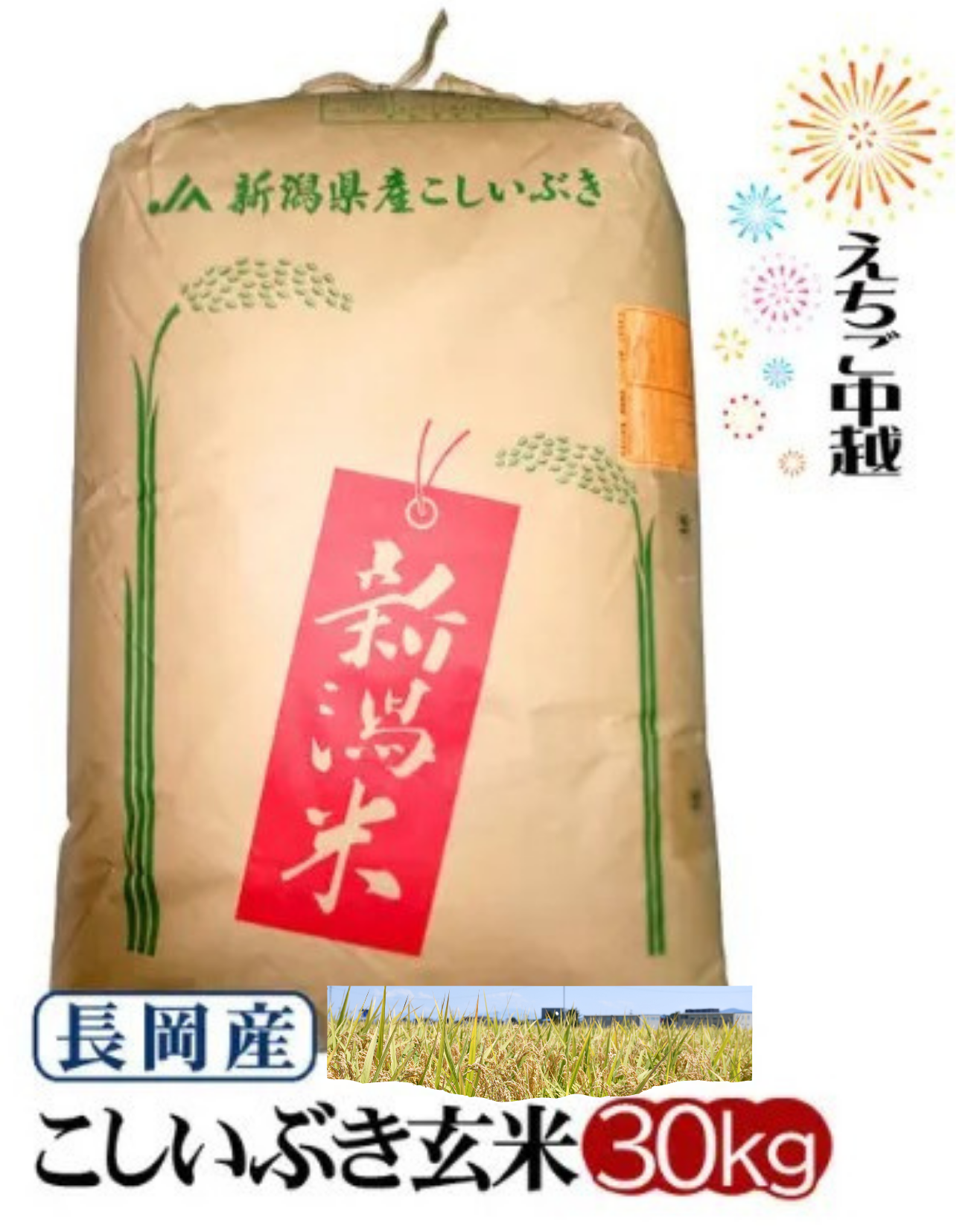 ☆jun☆　新潟コシヒカリ30kg 令和7年度産 新潟産コシヒカリ | 玄米30kg