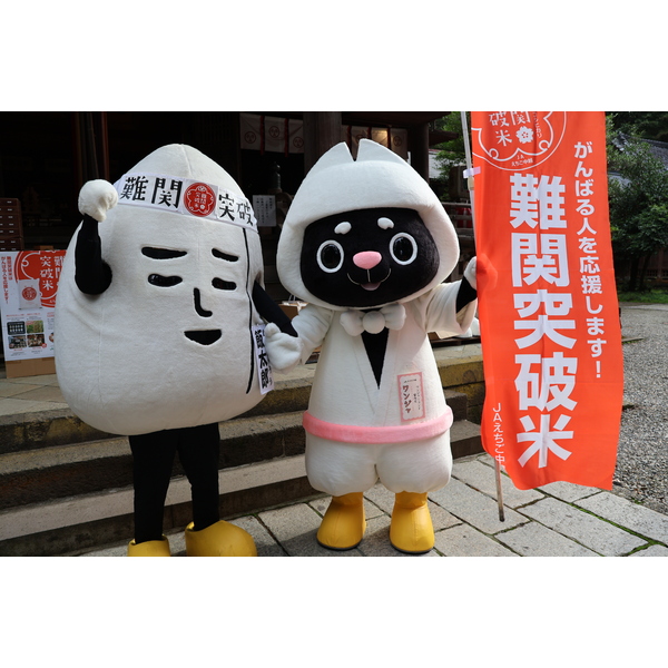 新潟県南蒲産】特別栽培コシヒカリ「難関突破米」 ☆頑張る人を応援