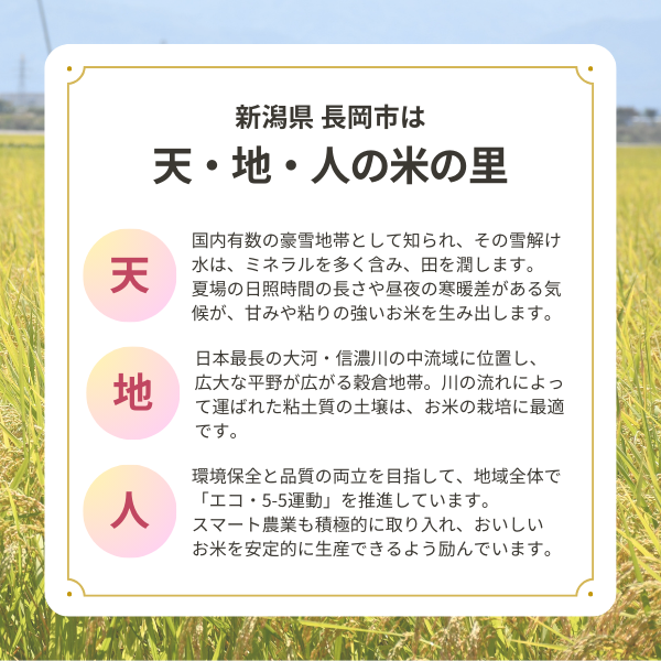 新米　令和元年産　新潟県中越産コシヒカリ玄米30ｋｇ　限定1個だけ 新米 新潟県産コシヒカリ(玄米) 30kg 令和7年産：新潟県産のお米｜食べ