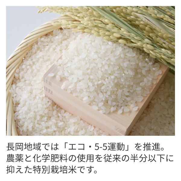 新潟県長岡産】特別栽培コシヒカリ「ひかり一番地」 ☆化学肥料・農薬