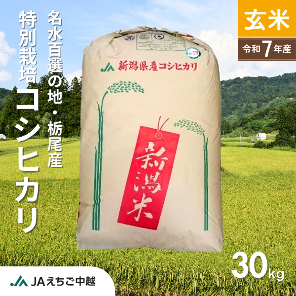ナオナオさま専用 大粒 白米 18kg 私の作った 秋田の あきたこまち
