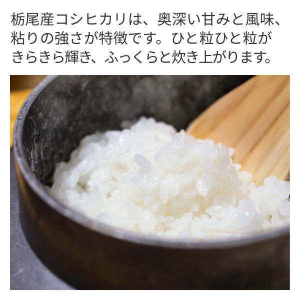 新米 玄米 30kg 栃木県産コシヒカリ 楽天市場】コシヒカリ 30kg 栃木の通販