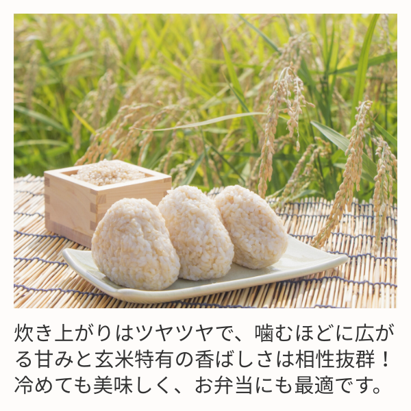 新潟県産】こしいぶき 玄米30kg | JAえちご中越公式オンラインショップ