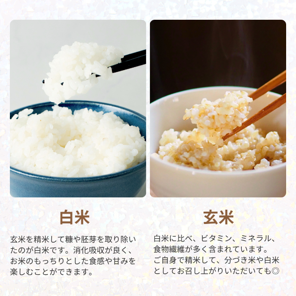 玄米20キロ【農家直送！】新潟県産こしいぶき　特別栽培米　7年産　低温冷蔵 令和7年度産新米】新潟県産こしいぶき 玄米20kg | yamanoho