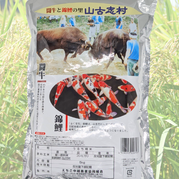 コシヒカリ 山元様 yamamotoke-store