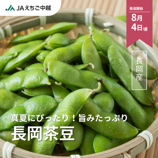 長岡産　もぎ枝豆　長岡茶豆