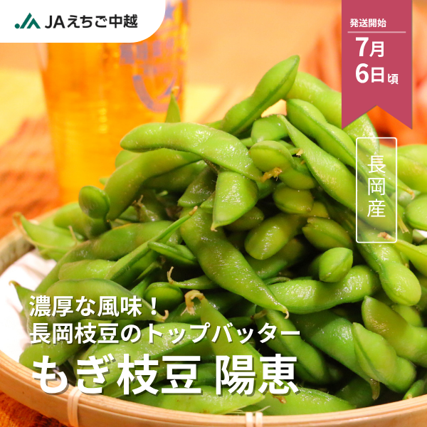 長岡産 もぎ枝豆 陽恵（ようけい） | JAえちご中越公式オンライン