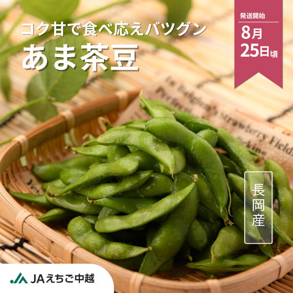 長岡産　もぎ枝豆　あま茶豆