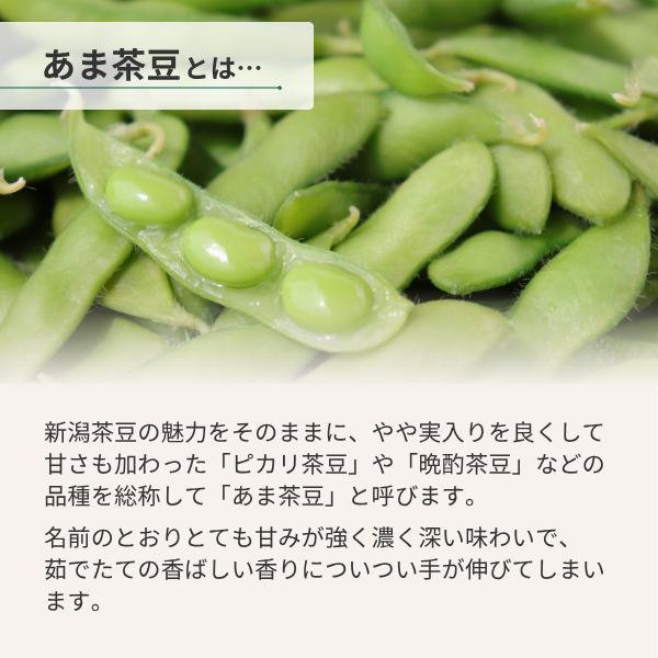 長岡産 もぎ枝豆 あま茶豆 | JAえちご中越公式オンラインショップ華