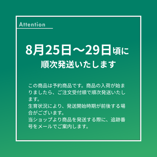 長岡産 もぎ枝豆 あま茶豆 | JAえちご中越公式オンラインショップ華
