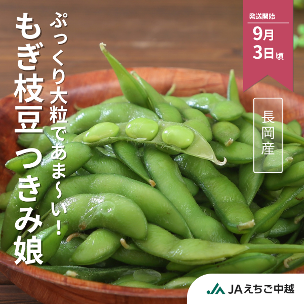 長岡産　もぎ枝豆　つきみ娘
