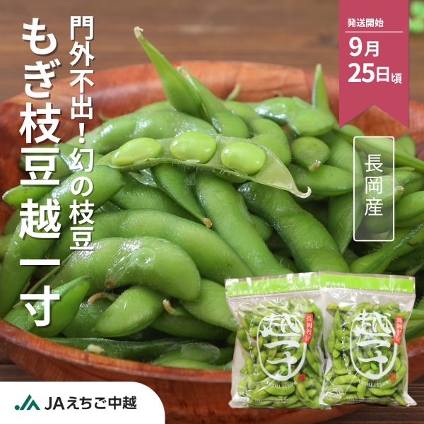 長岡産　もぎ枝豆　越一寸（こしいっすん）