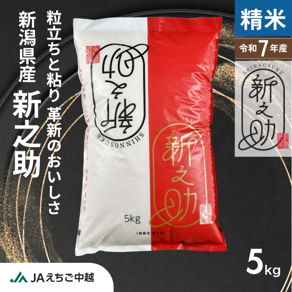 【新潟県産】新之助　☆きらめく大粒  コクと甘みに太鼓判☆彡