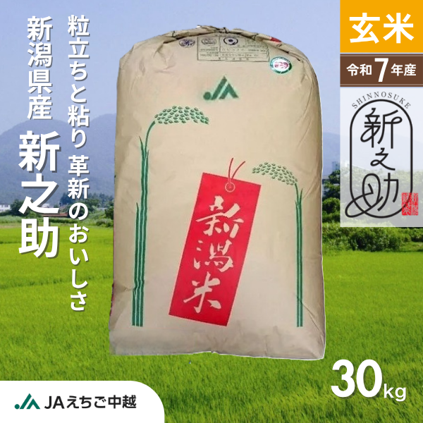 【新潟県産】新之助　玄米　30㎏