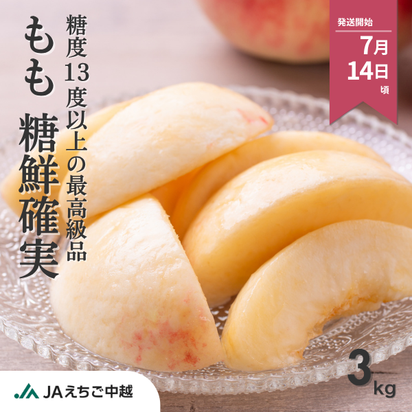 【糖度13度以上】糖鮮確実 もも３kg ◆特秀品◆　☆”糖”度と”鮮”度が”確実”な桃♪ 化粧箱に入れてお届け☆彡