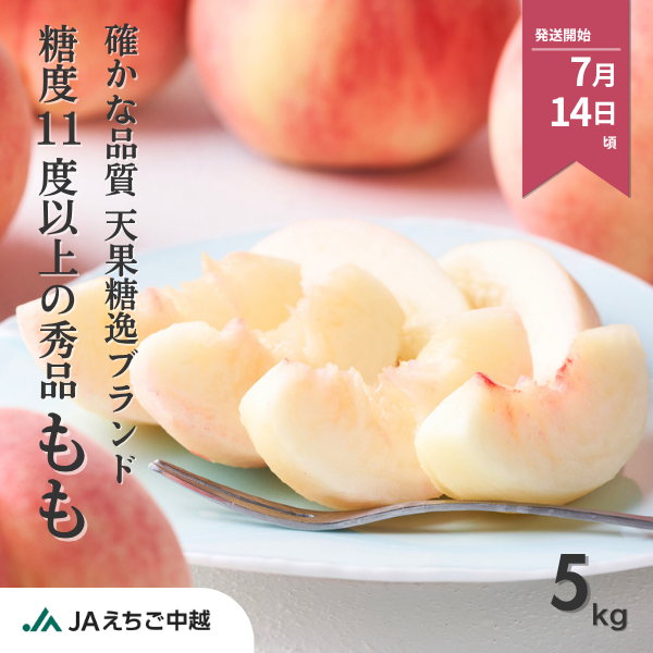 【糖度11度以上】もも５kg  ◆秀品◆