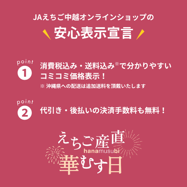 新潟県長岡市産 ブランド野菜「大口れんこん」　【Mサイズ】　　☆シャキシャキ食感とほのかな甘み☆彡の商品画像 11