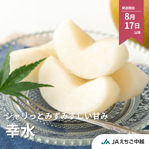 梨・幸水（こうすい）　特秀品【糖鮮確実】　☆糖度＆鮮度が確実な最上位品☆彡の商品画像 1