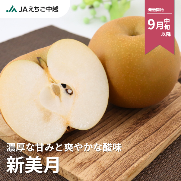 梨・新美月（しんみづき）　特秀品【糖鮮確実】　☆糖度＆鮮度が確実な最上位品☆彡の商品画像 1