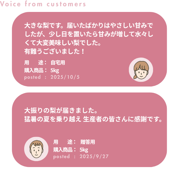 梨・あきづき　特秀品【糖鮮確実】　☆糖度＆鮮度が確実な最上位品☆彡の商品画像 11