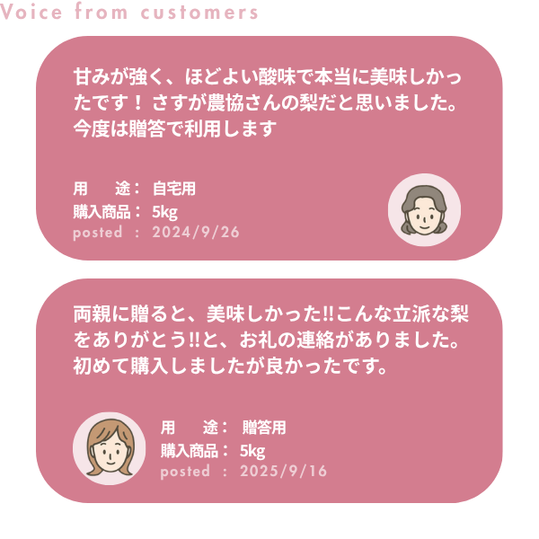 梨・豊水（ほうすい）　特秀品【糖鮮確実】　☆糖度＆鮮度が確実な最上位品☆彡の商品画像 9
