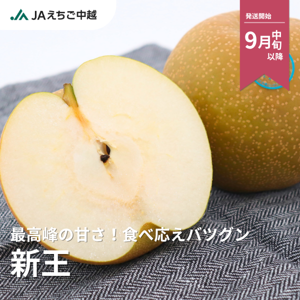 梨・新王（しんおう）　特秀品【糖鮮確実】　☆糖度＆鮮度が確実な最上位品☆彡