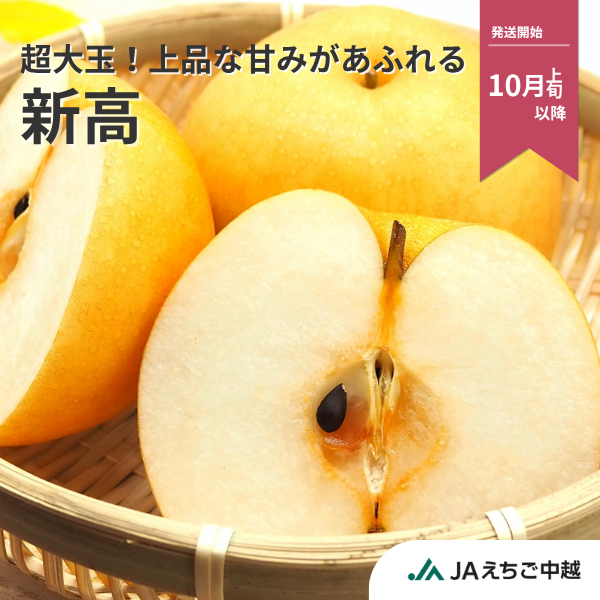 梨・新高（にいたか）　特秀品【糖鮮確実】　☆糖度＆鮮度が確実な最上位品☆彡の商品画像 1