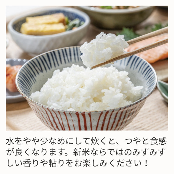 【新潟県柏崎産】葉月みのり　☆新潟県中越地域で一番早い新米☆彡の商品画像 3