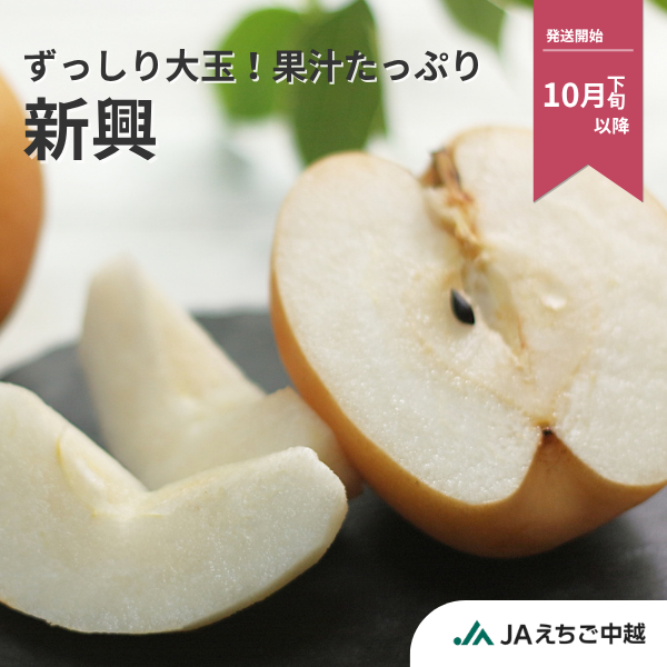 梨・新興（しんこう）　特秀品【糖鮮確実】　☆糖度＆鮮度が確実な最上位品☆彡の商品画像 1