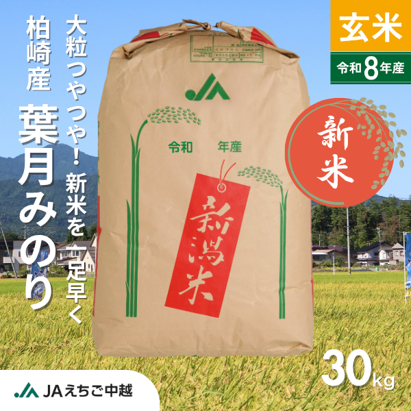 ★新米★【新潟県柏崎産】葉月みのり　玄米　30㎏