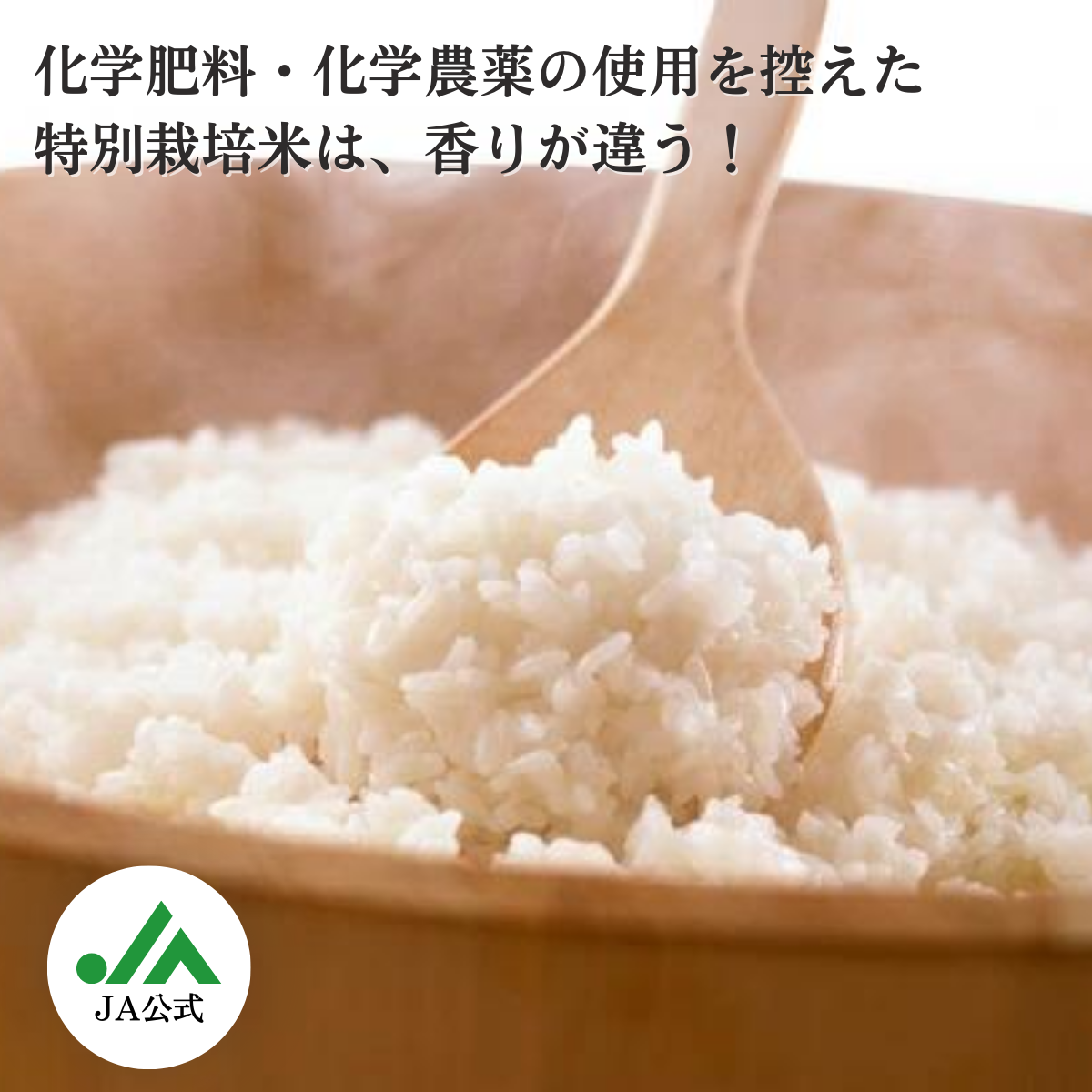 27年産 三重 山の湧水米(悟光米)コシヒカリ白米30kg