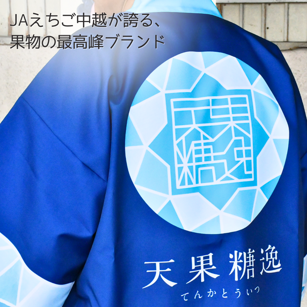 梨・新高（にいたか） 特秀品【糖鮮確実】 ☆糖度＆鮮度が確実な最上位